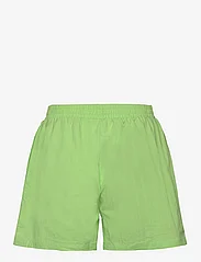 Résumé - RiveRS Shorts - casual shorts - lime - 1