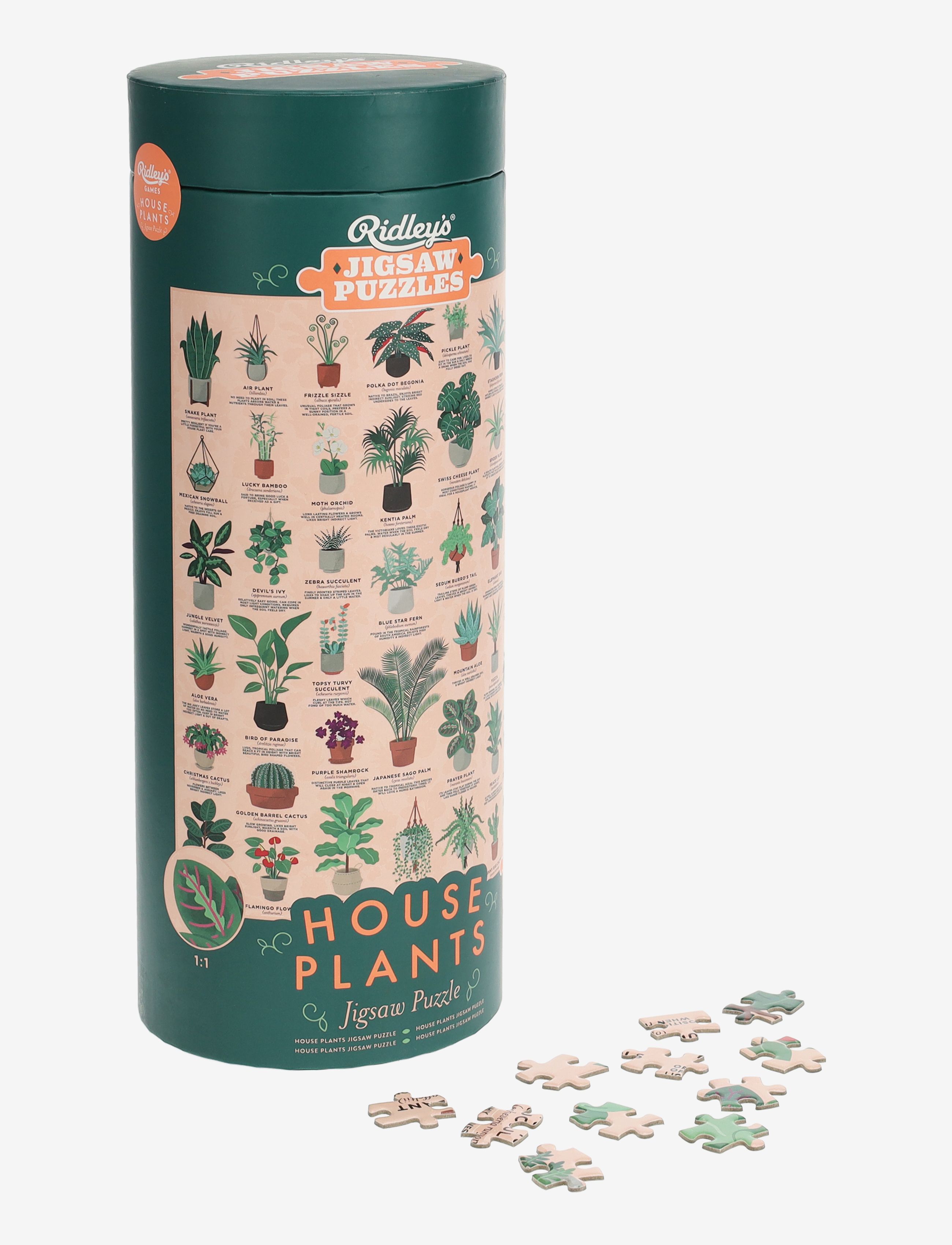 Ridley's Games Puzzle House Plants 1000 Pcs, One Size, Puzzles & Games, Grün - Puzzles, Homeware