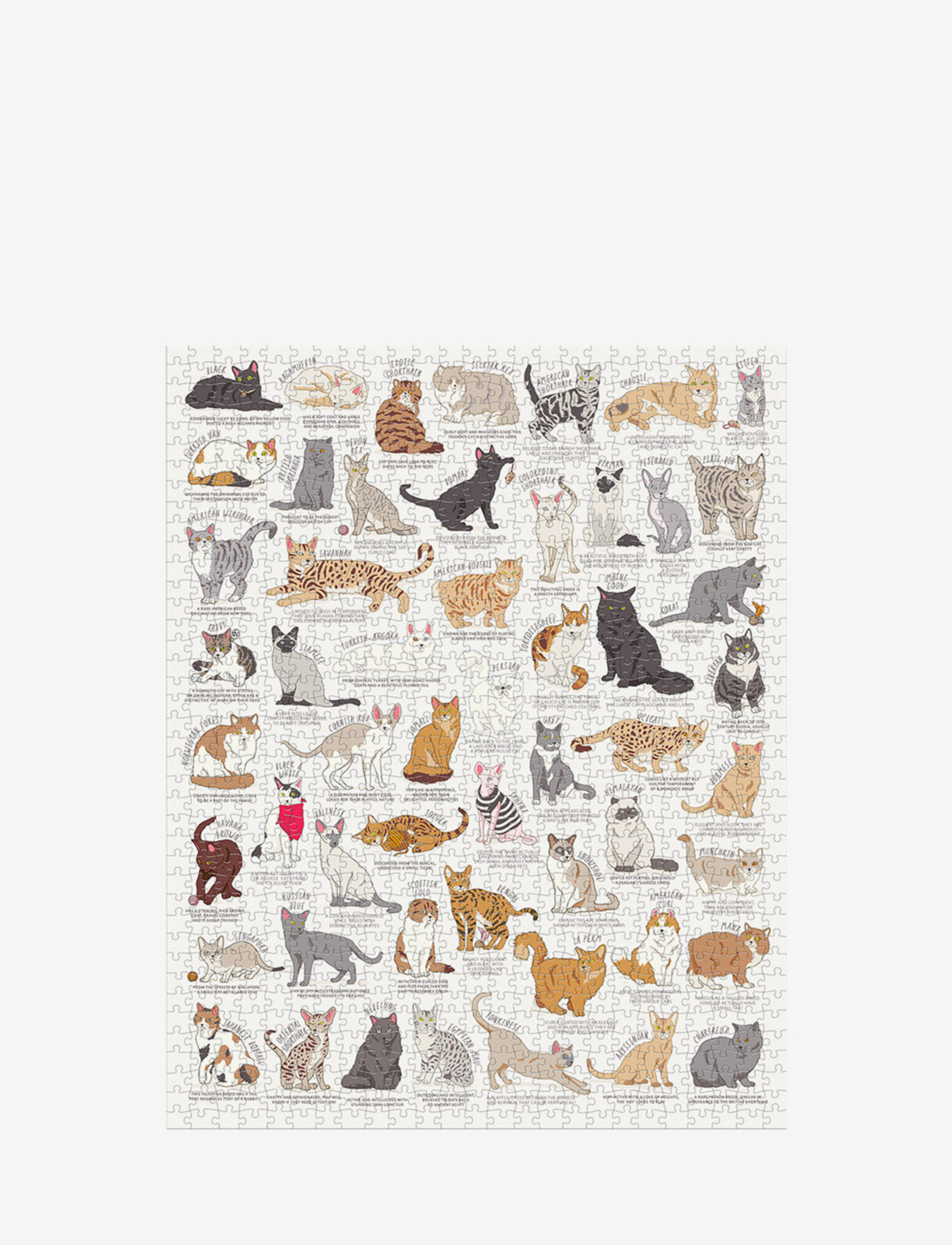Ridley's Games - Cat Lovers Puzzle 1000 pcs - osta hinna alusel - white - 2