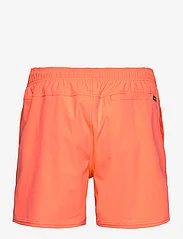 Rip Curl - DAILY VOLLEY - swim shorts - coral - 1