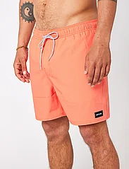 Rip Curl - DAILY VOLLEY - lowest prices - coral - 3