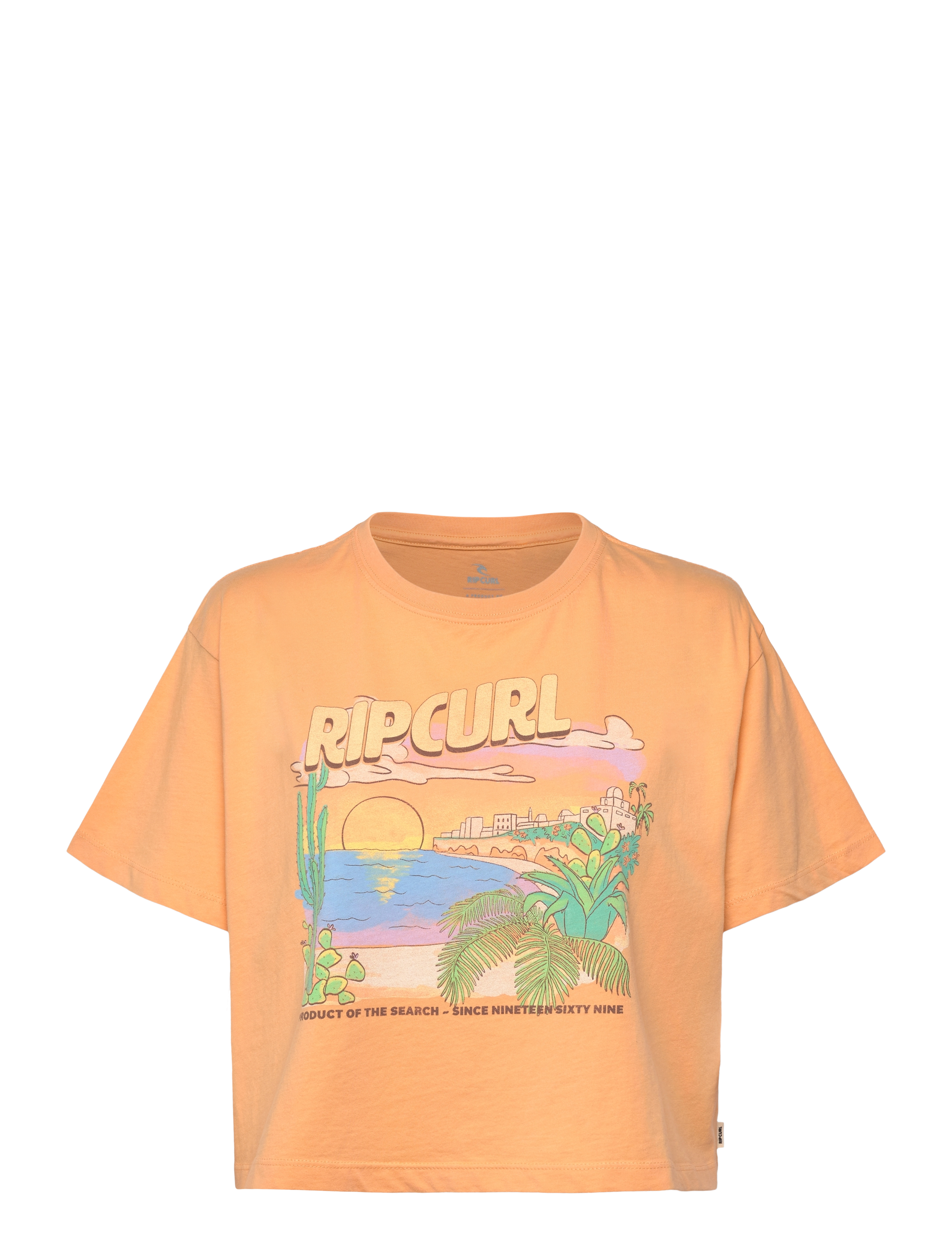 PASTEL ORANGE