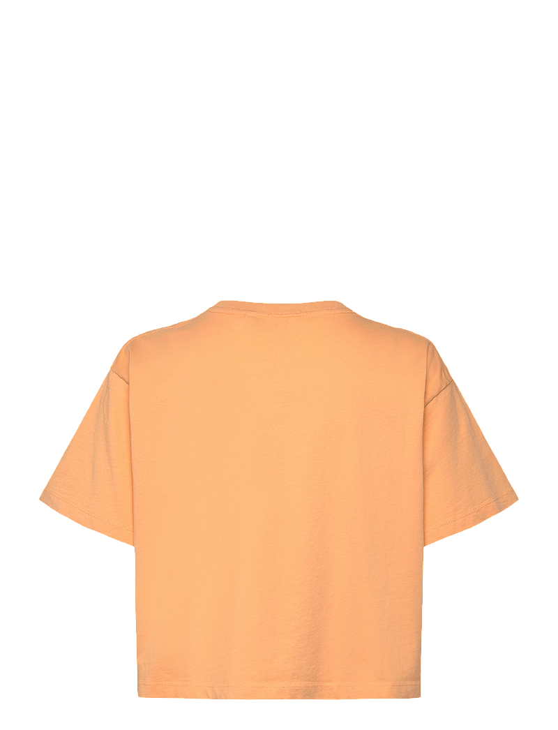 Rip Curl - LA PALOMA CROP TEE - t-särgid - pastel orange - 2