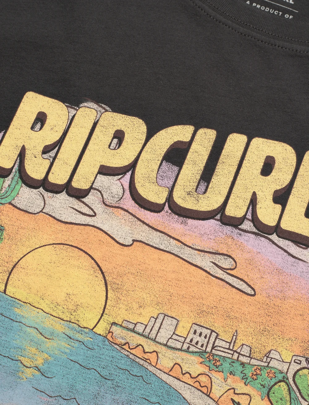 Rip Curl - LA PALOMA CROP TEE - crop-tops - washed black - 4