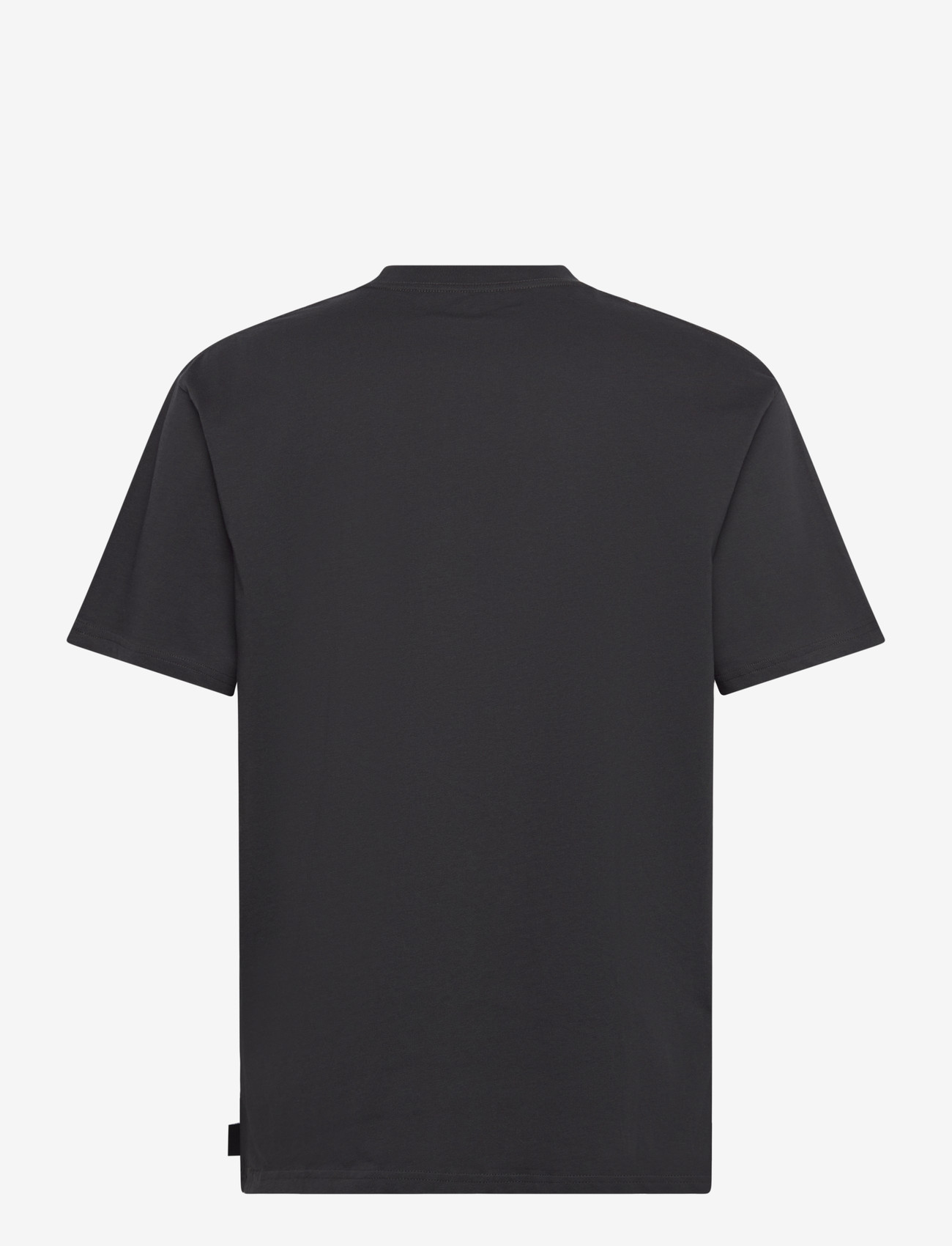 Rip Curl - INNER VISIONS ROTTEN SUN TEE - laveste priser - washed black - 1