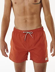 Rip Curl - OFFSET VOLLEY - boardshorts - spiced rum - 5