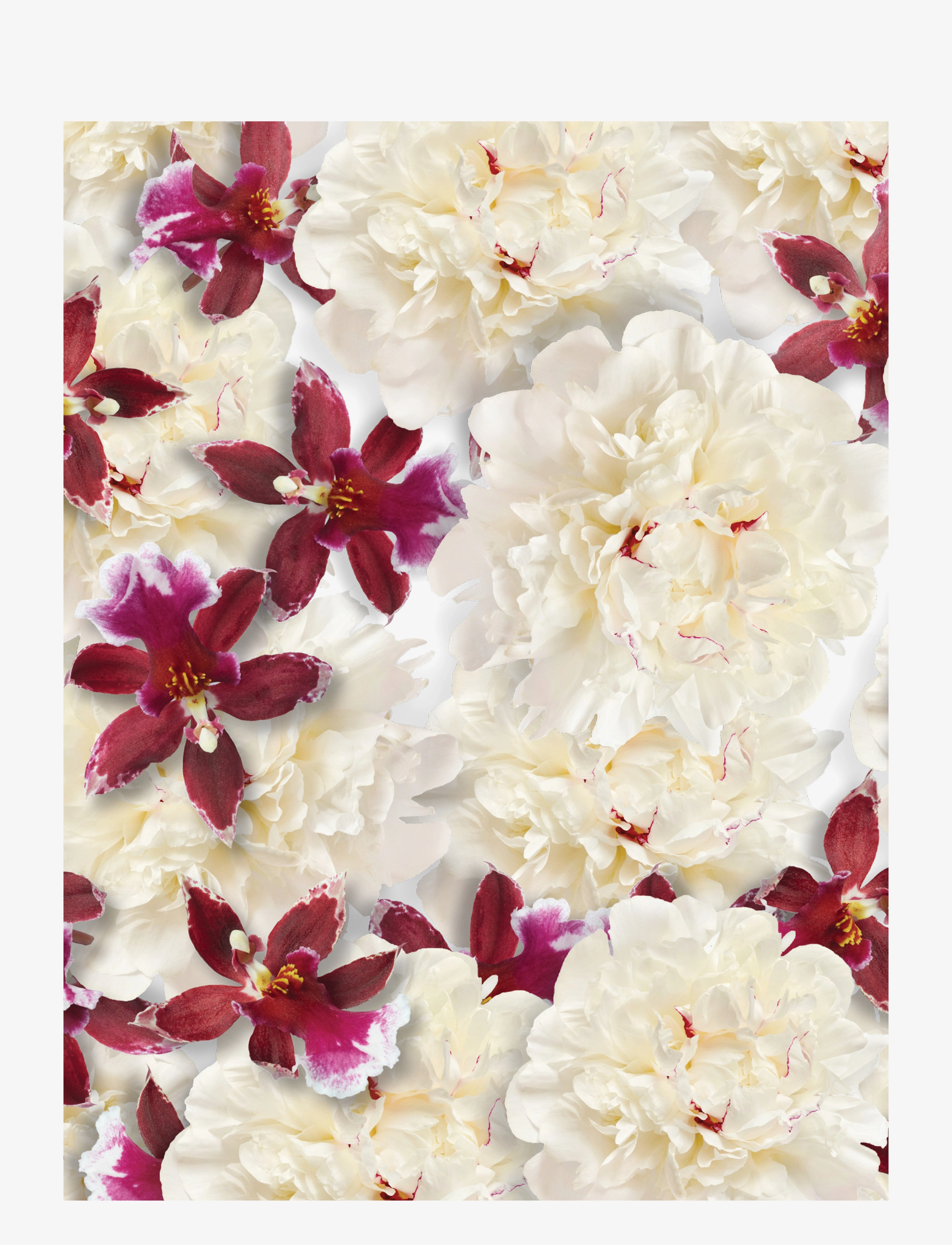 Rituals - Fleurs de l’Himalaya 50ml - til hende  - clear - 3