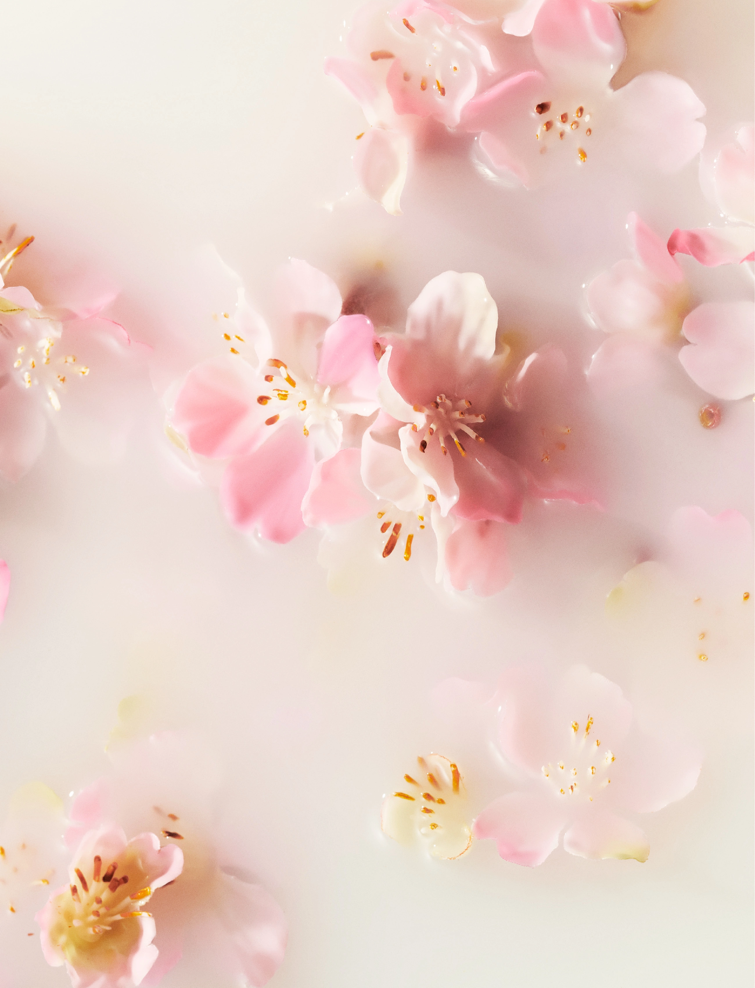 Rituals The Ritual of Sakura Recovery Hand Balm - Kropspleje - 1017 / clear