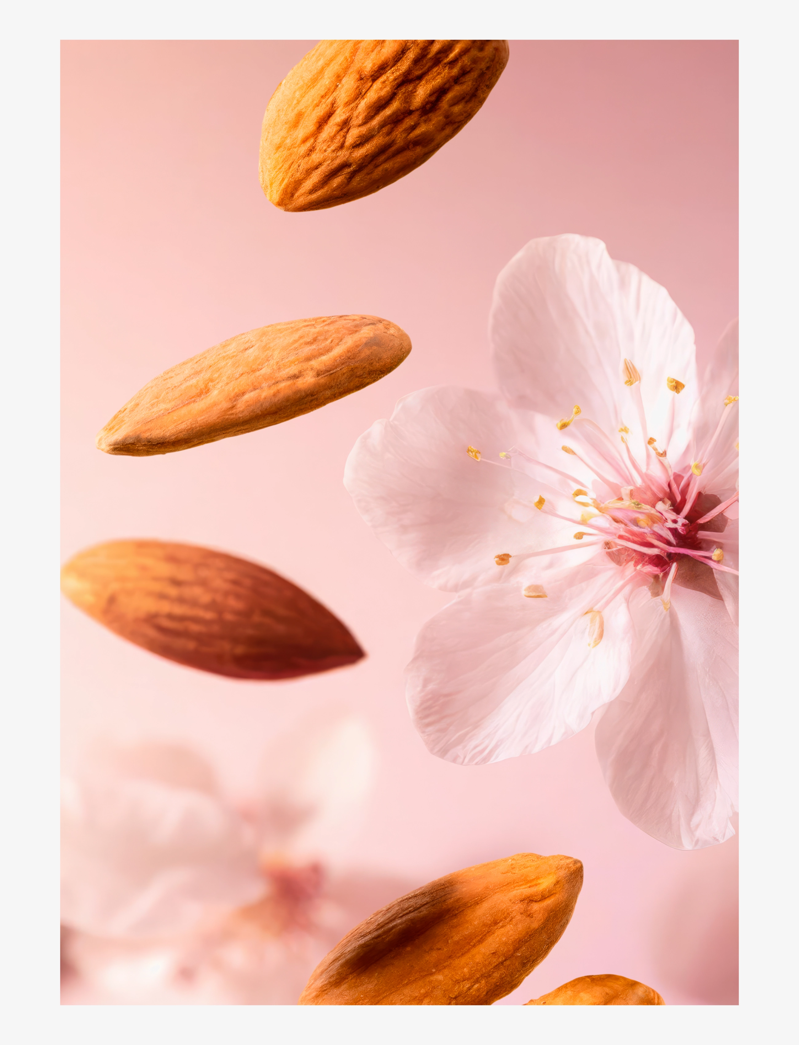 Rituals - The Ritual of Sakura Shower Oil - shower gel & bruseolier - no color - 1