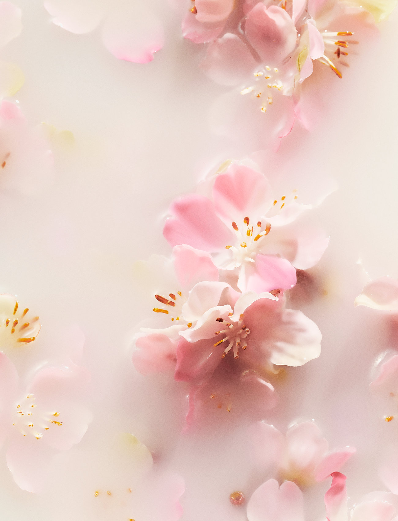 Rituals - The Ritual of Sakura Foaming Shower Gel 50ml - duschgel & duscholjor  - no color - 1