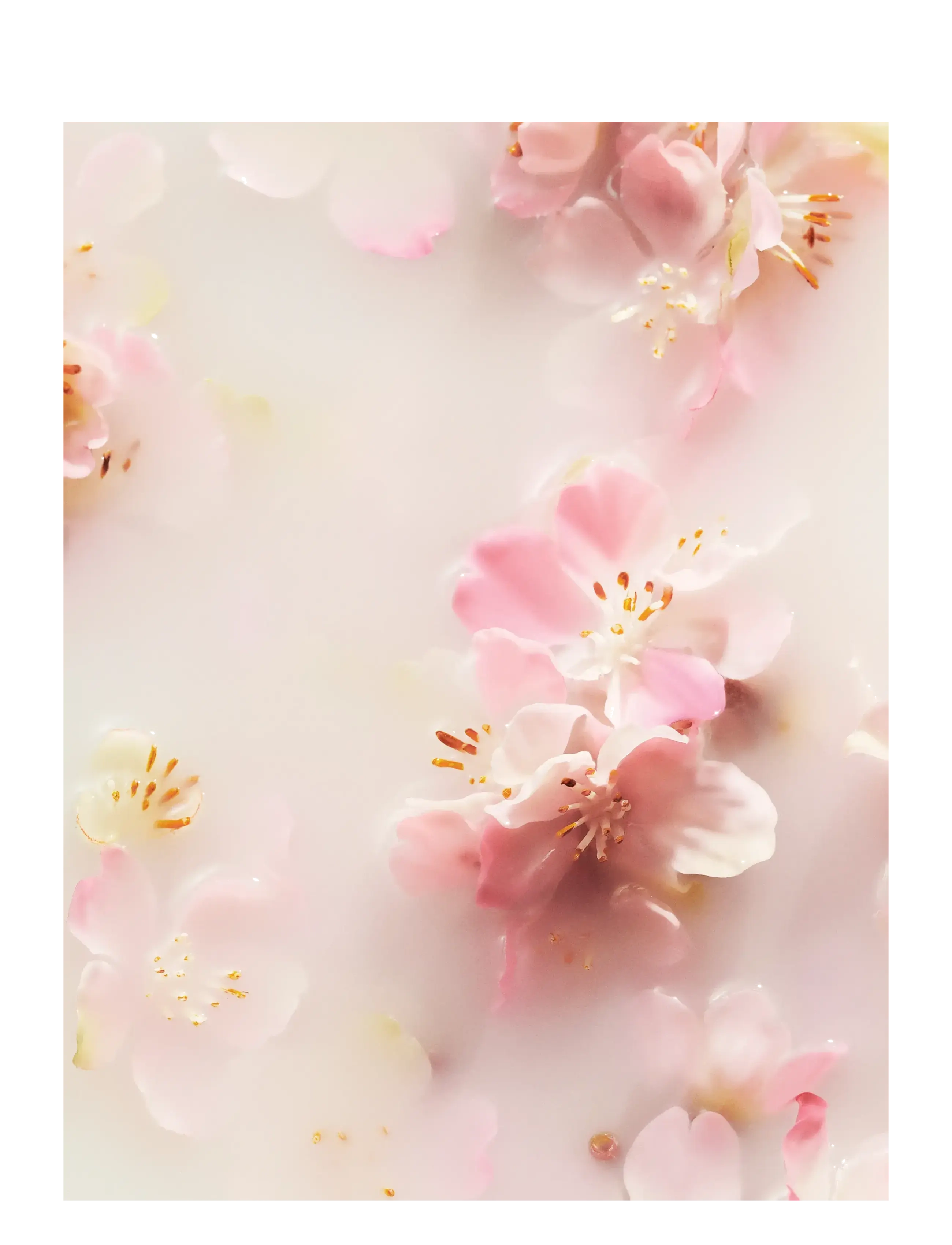 Rituals The Ritual Of Sakura Foaming Shower Gel dam – bild 5