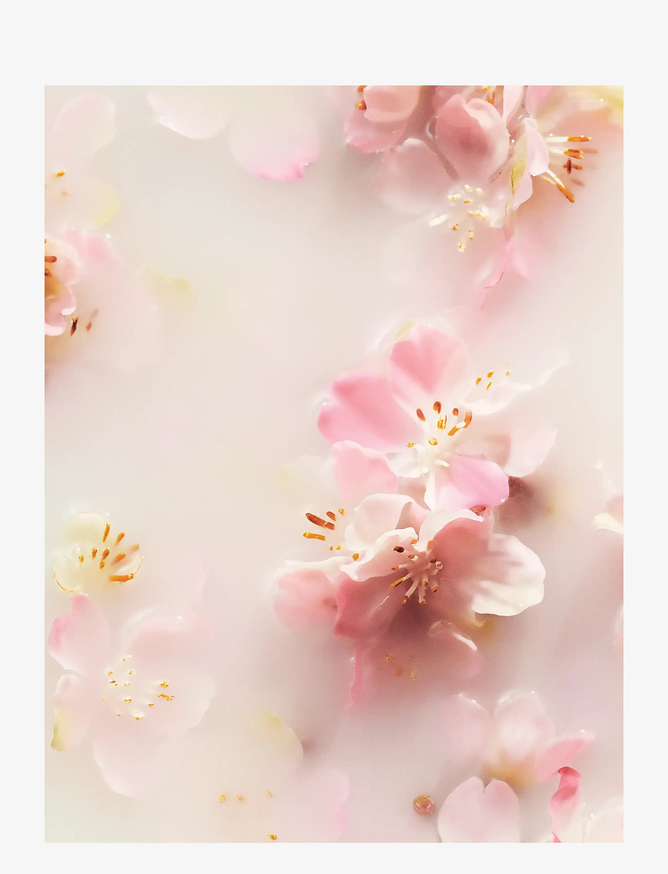 Rituals - The Ritual of Sakura Foaming Shower Gel - duschgel & duscholjor  - no color - 3