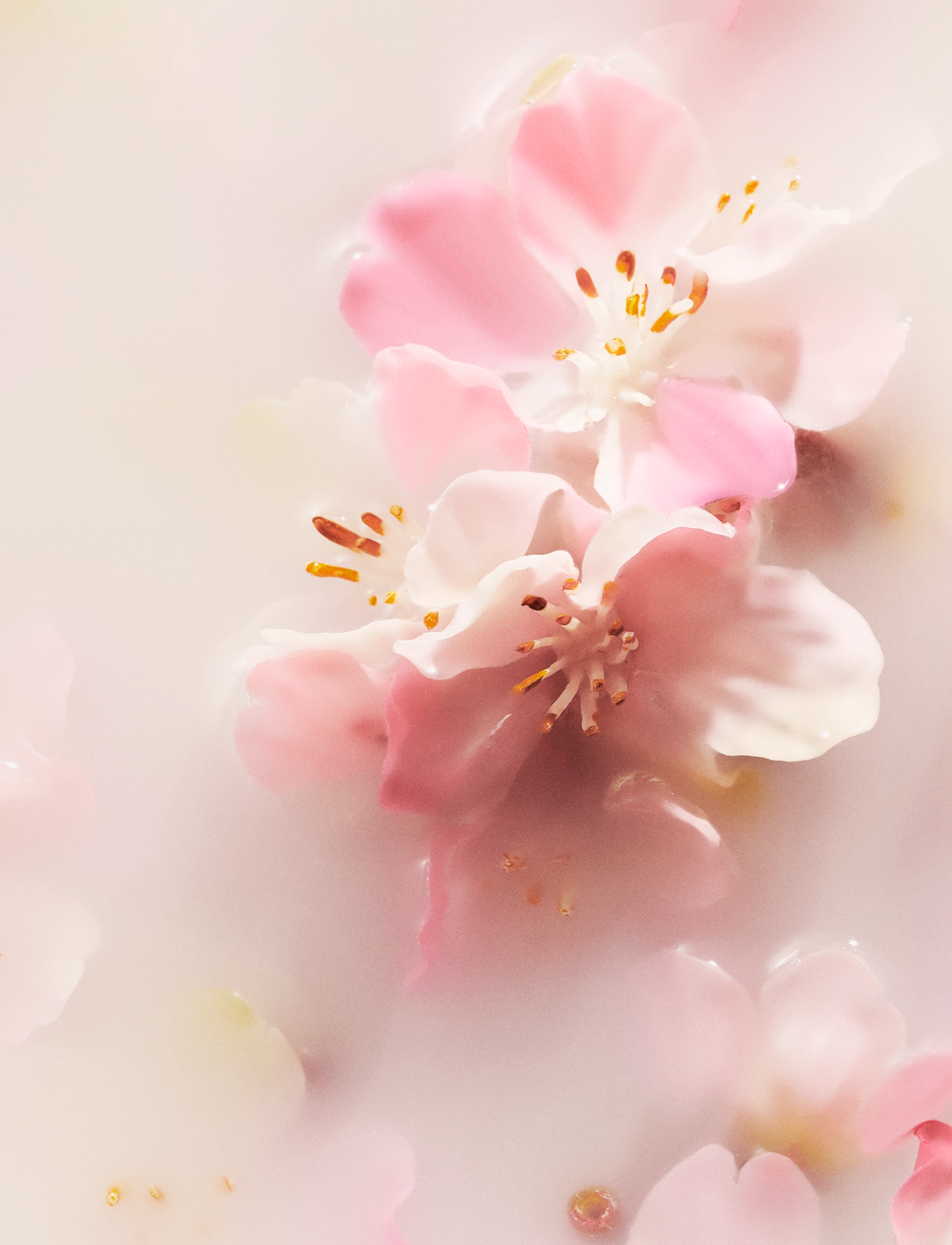 Rituals - Detergent Sakura - tvätt - no color - 1