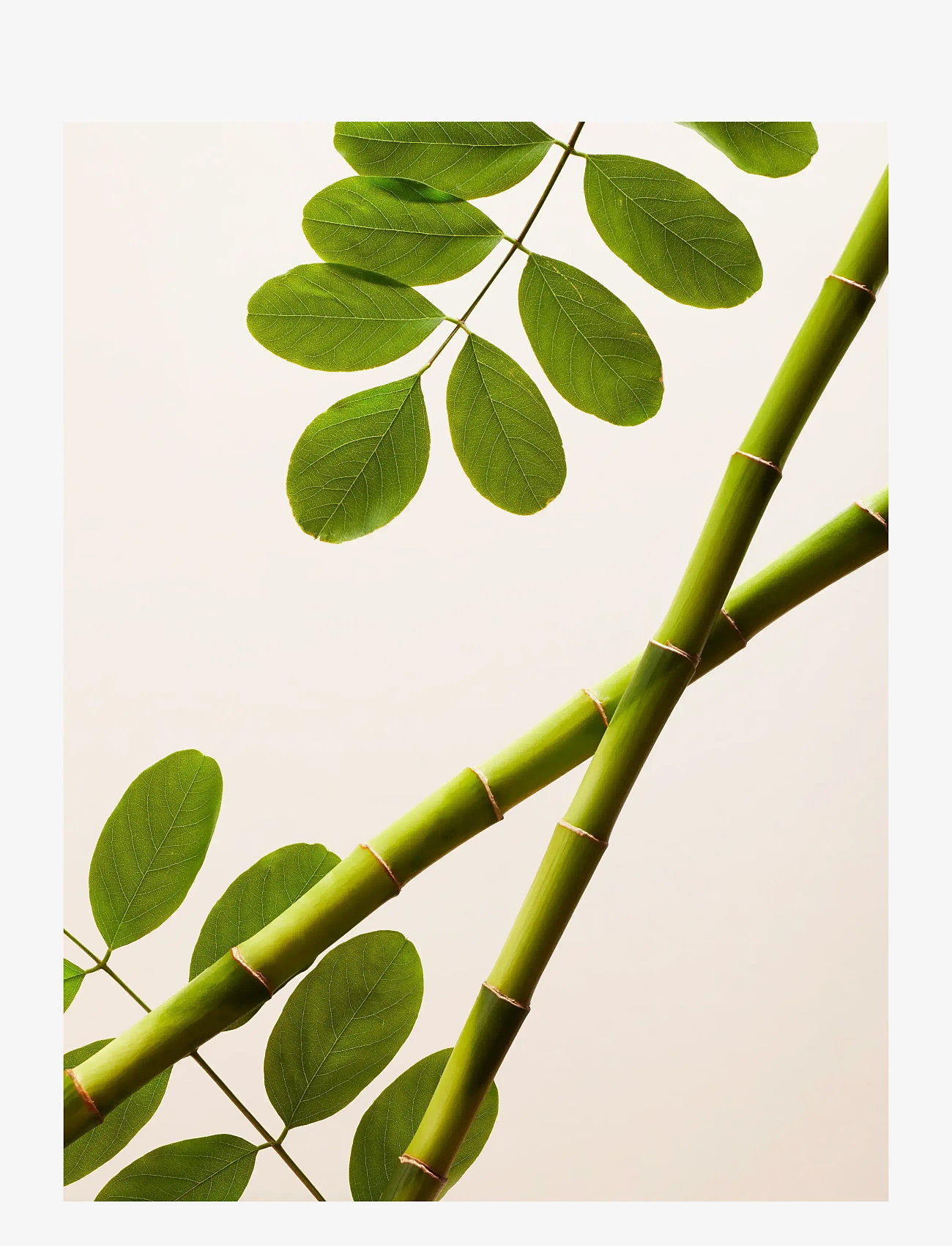 Rituals - The Ritual of Namaste Skin Brightening Face Exfoliator - peeling - ansikte  - 1017 - 4