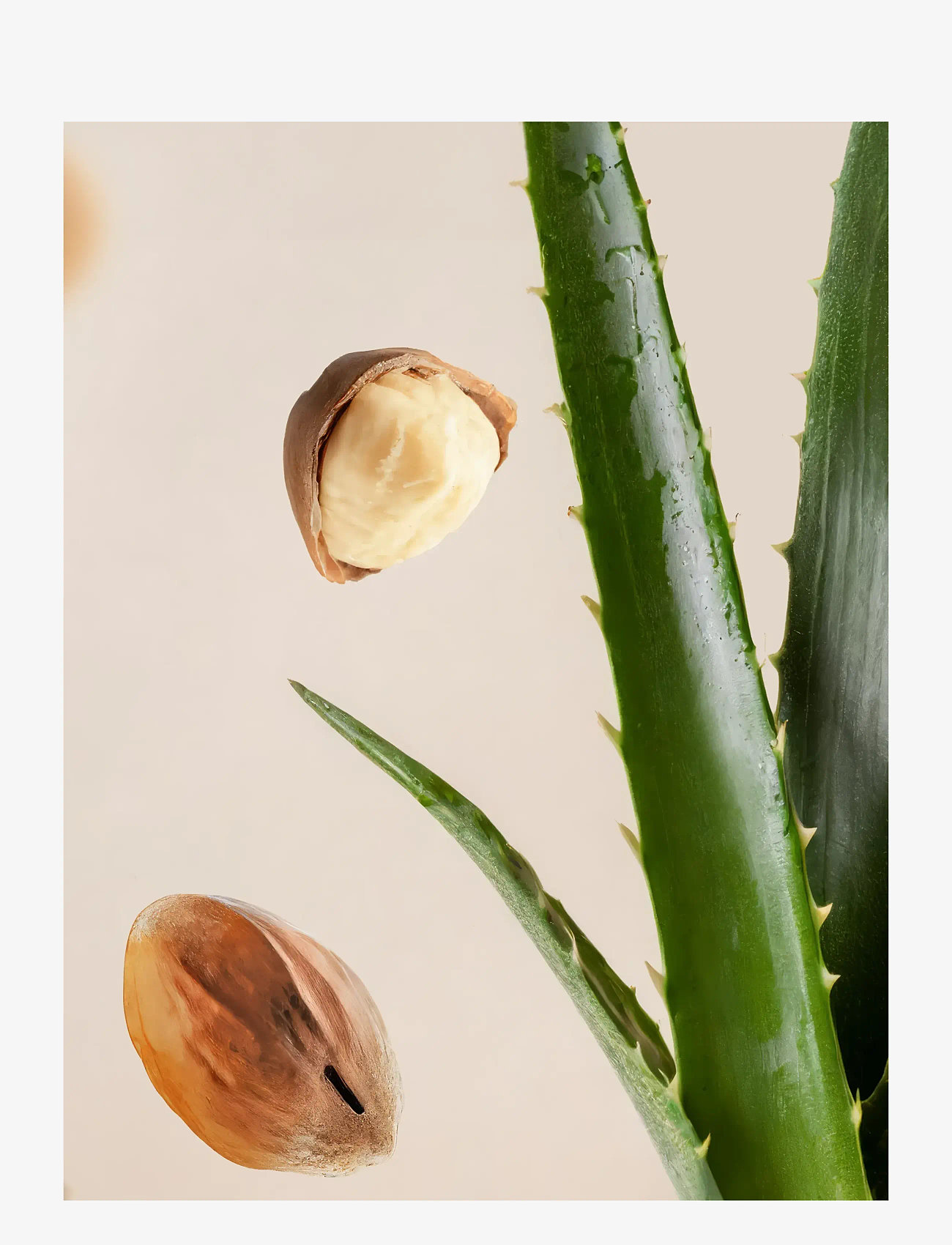 Rituals - Fortune Balms - Teddy - läppbalsam - no color - 2