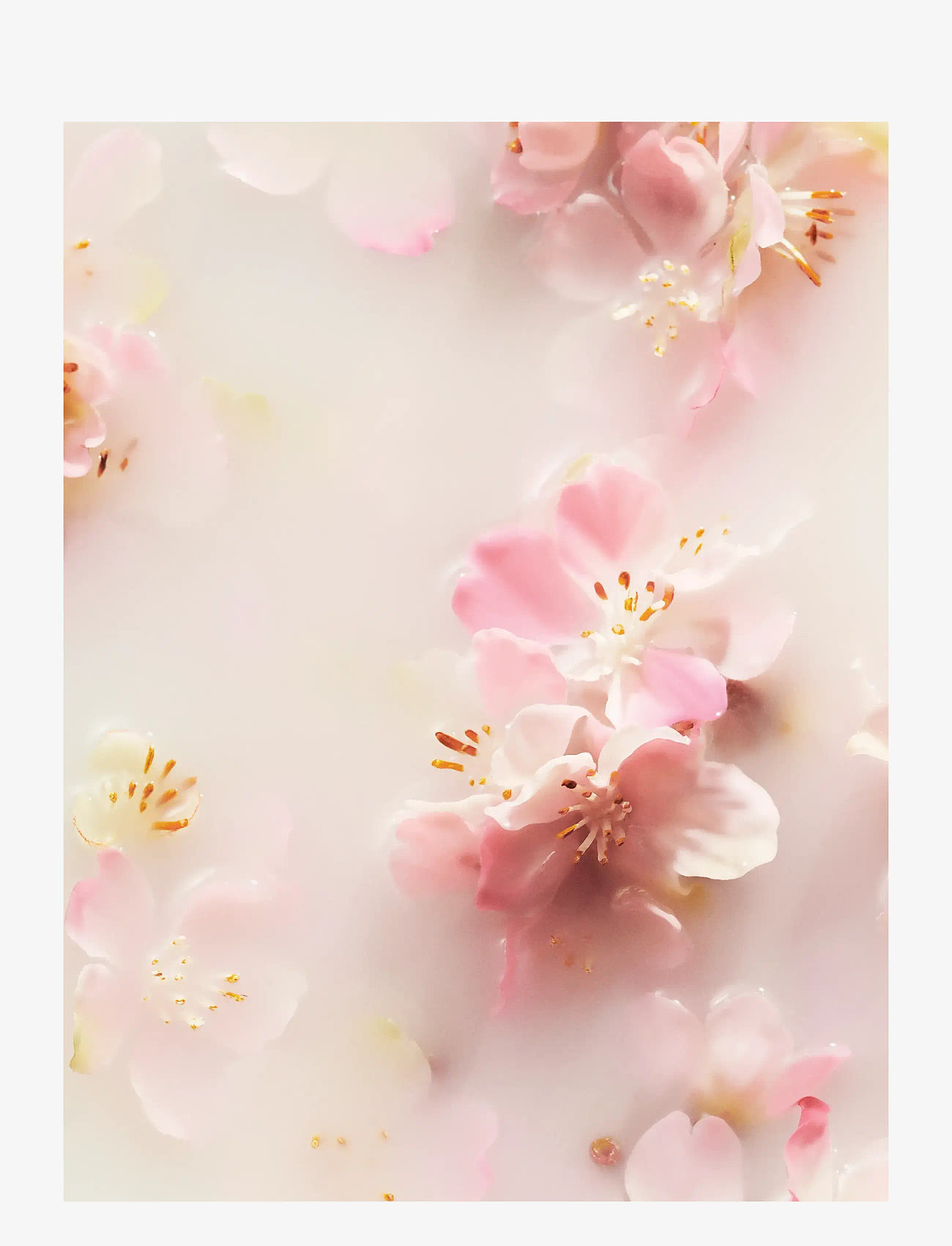 Rituals - The Ritual of Sakura Whipped Body Cream Refill 220ml - lotion & cream - no color - 5