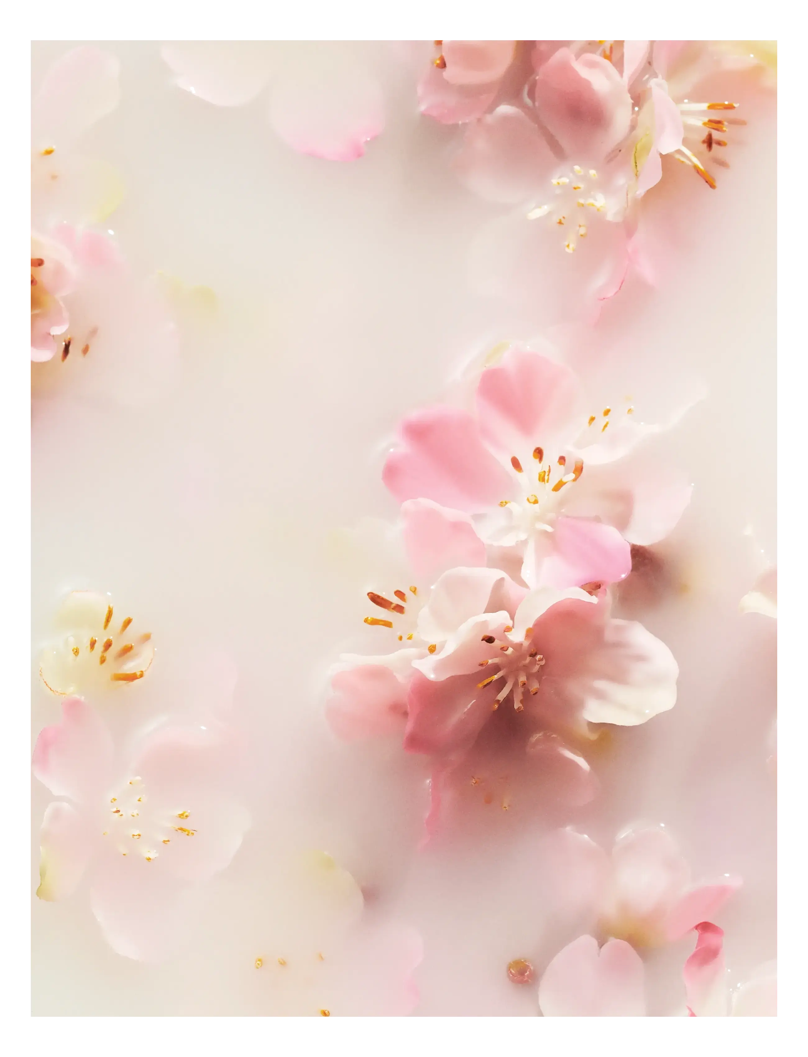 The Ritual Of Sakura Hand Balm 5