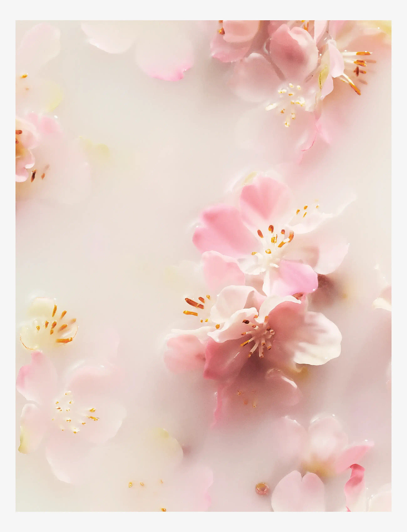 Rituals - The Ritual of Sakura Hand Balm 70ml - no color - 2