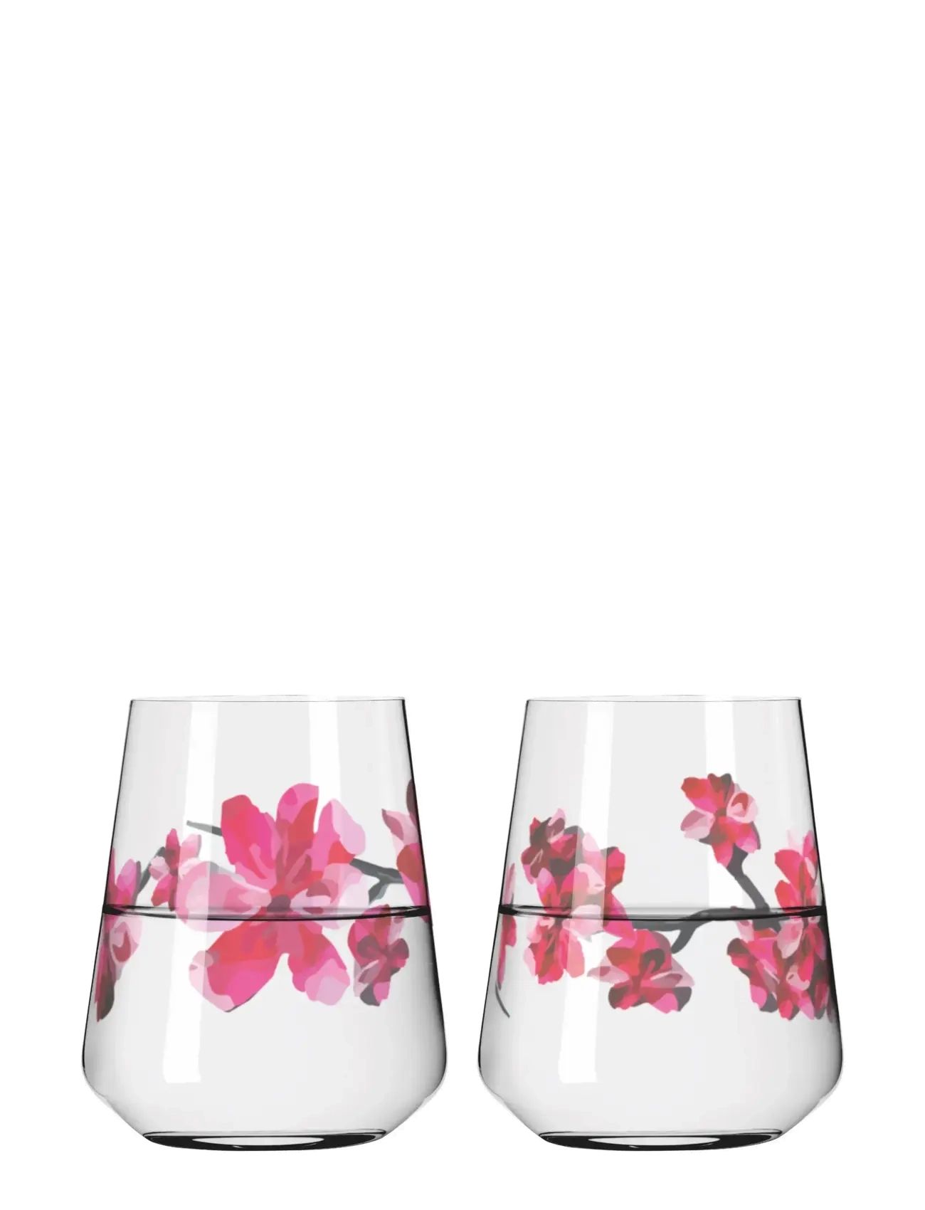RITZENHOFF Sommerrausch Waterglass 2-Pack MULTI - 50 CL - Unisex