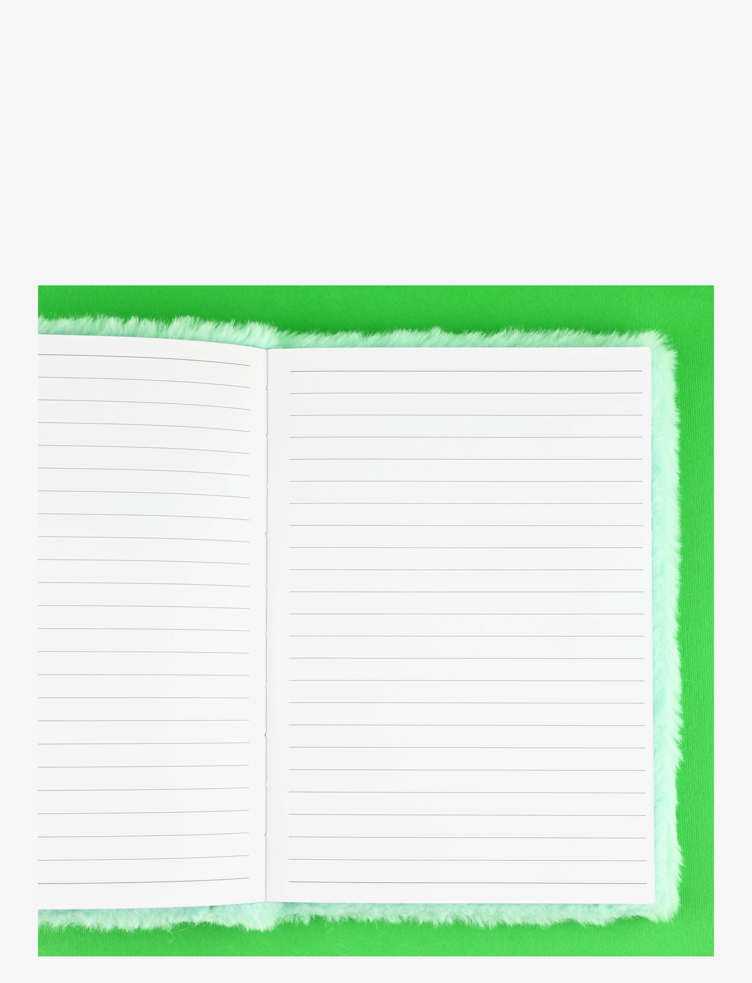Robetoy - NOTEBOOK FLUFFY KOALA A5 - green - 1