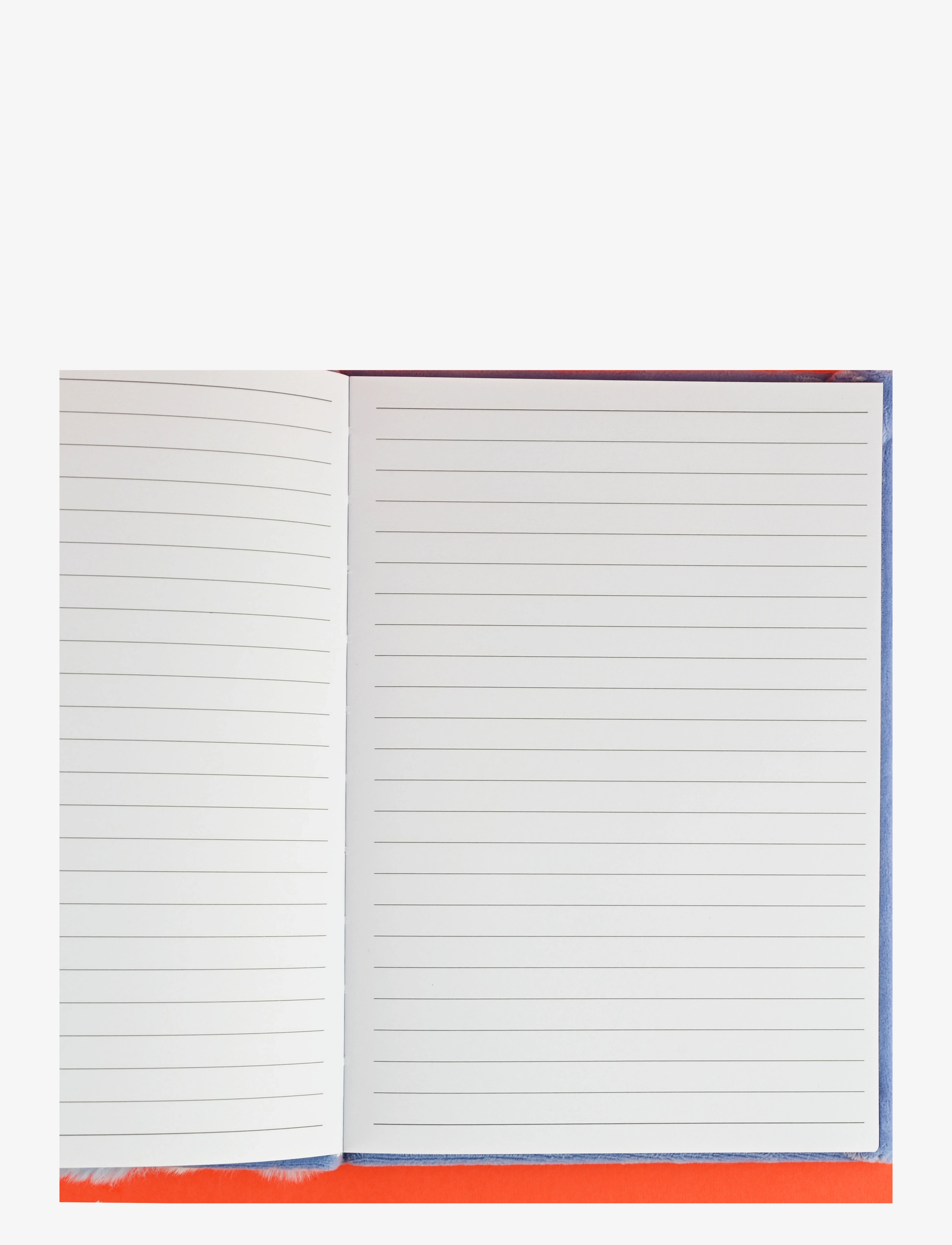 Robetoy - NOTEBOOK FLUFFY RACOON A5 - kalenterit & muistikirjat - blue - 1