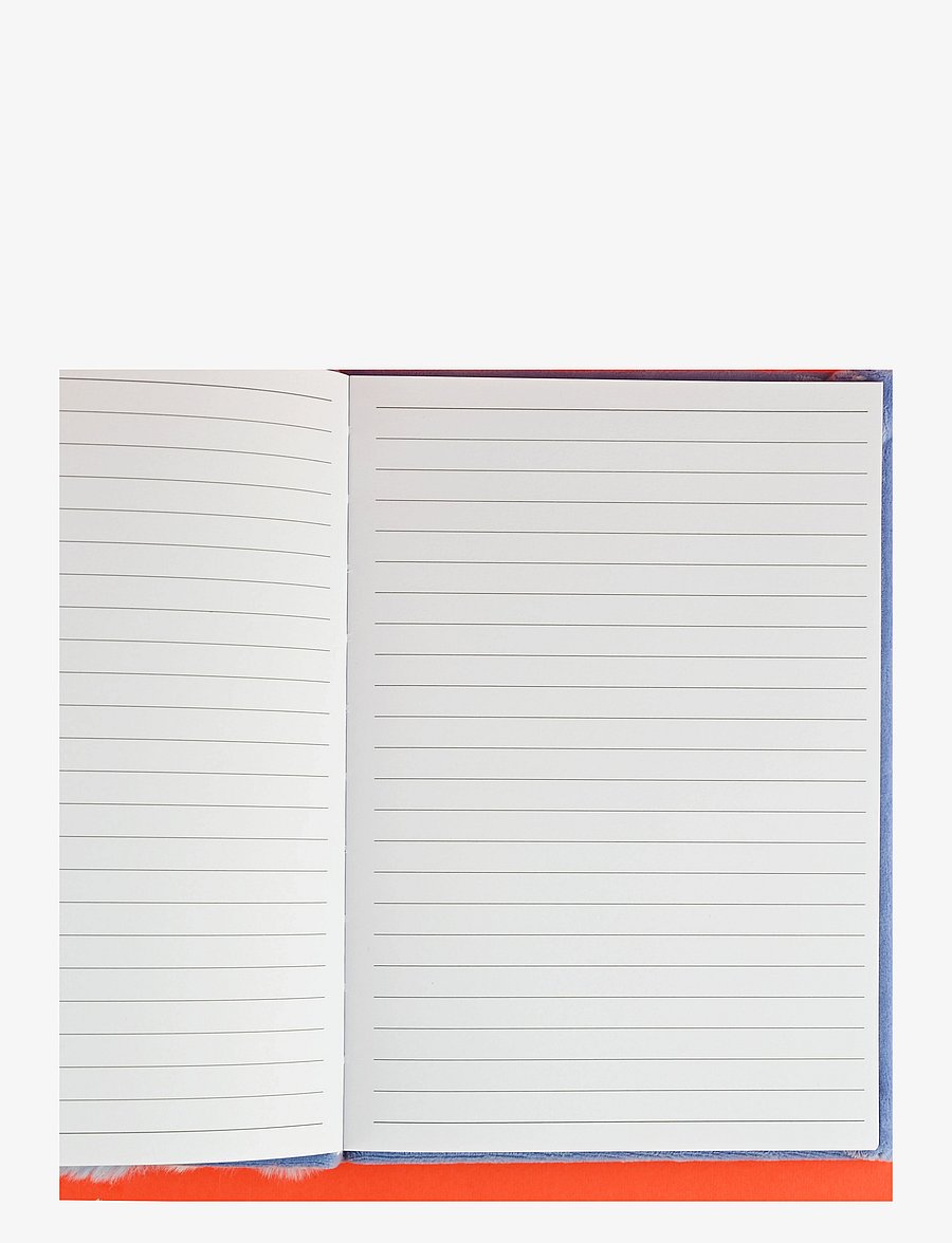 Robetoy - NOTEBOOK FLUFFY RACOON A5 - kalendrar & anteckningsblock - blue - 1