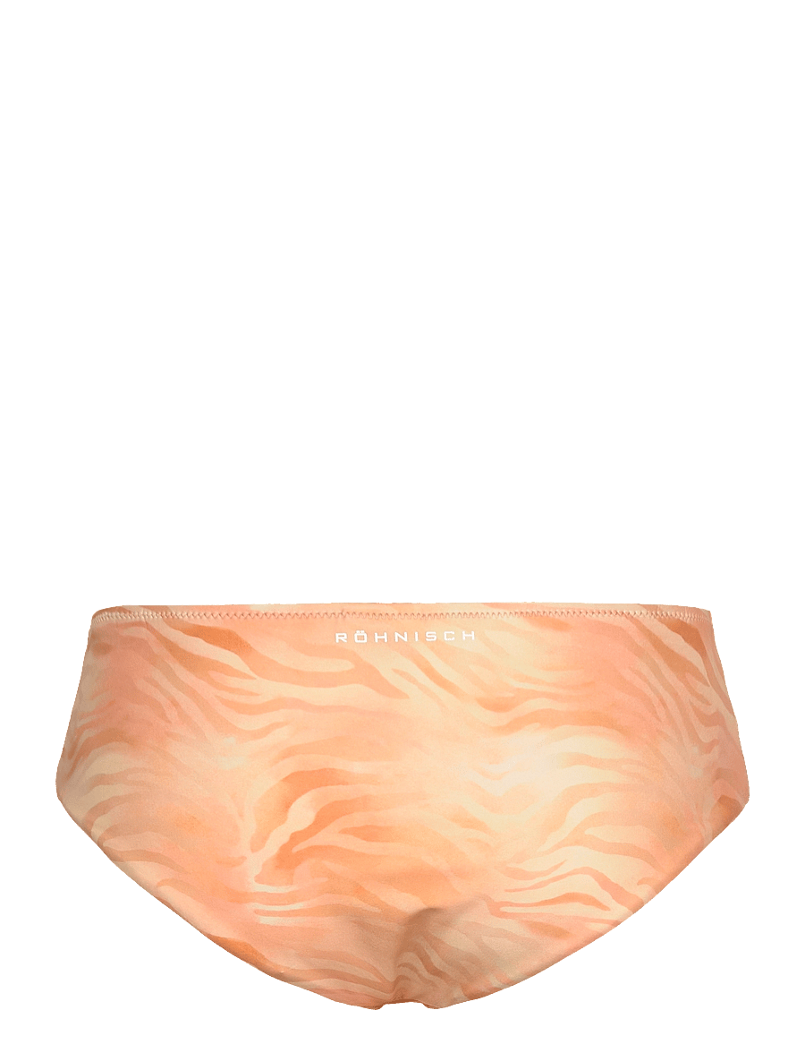 Röhnisch - Asrin Bikini Briefs - urheilu-uima-asut - zebra fade - 1