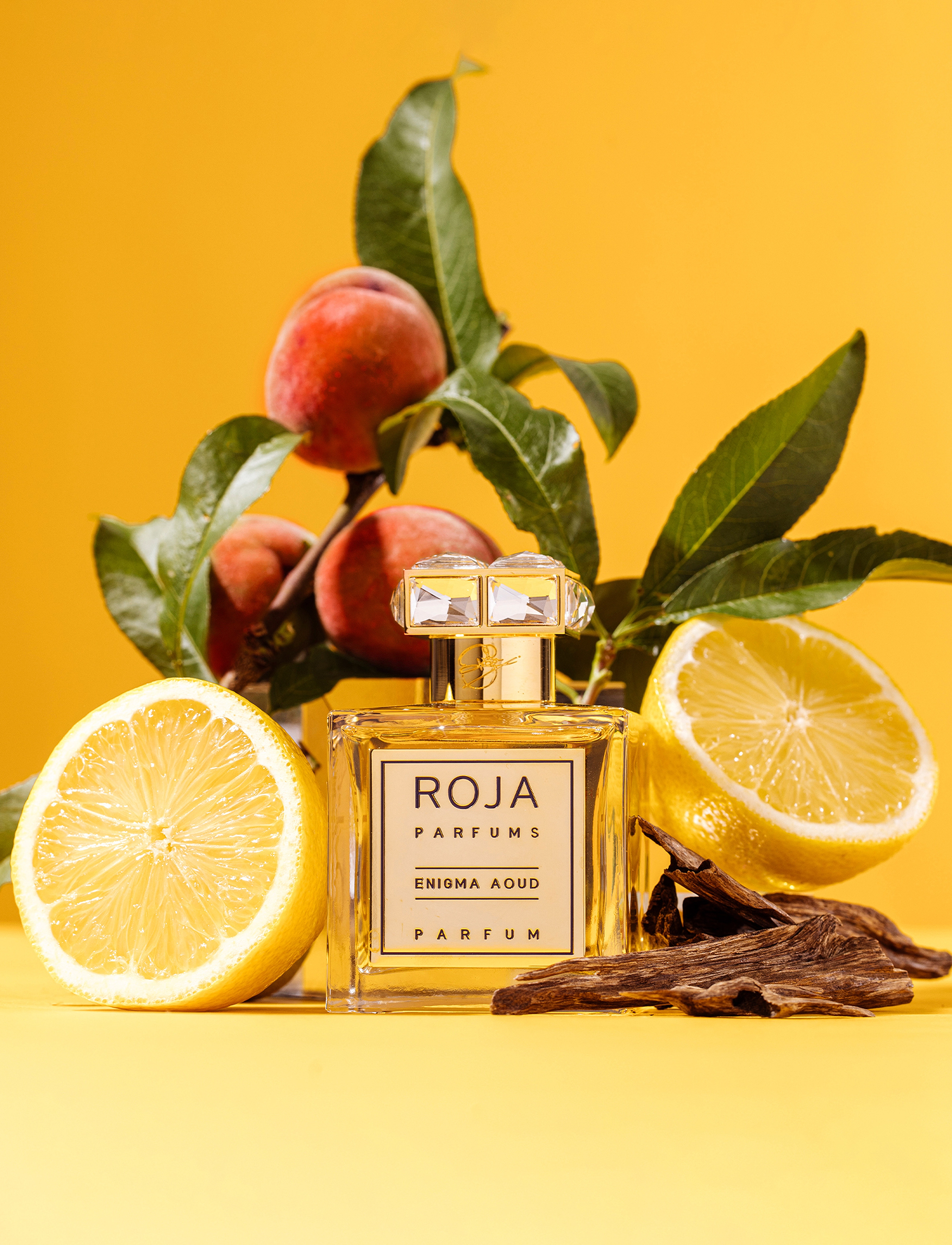 Roja Enigma Aoud Parfum, 100 ml, Nude, Parfume > Eau De Parfum, Dame
