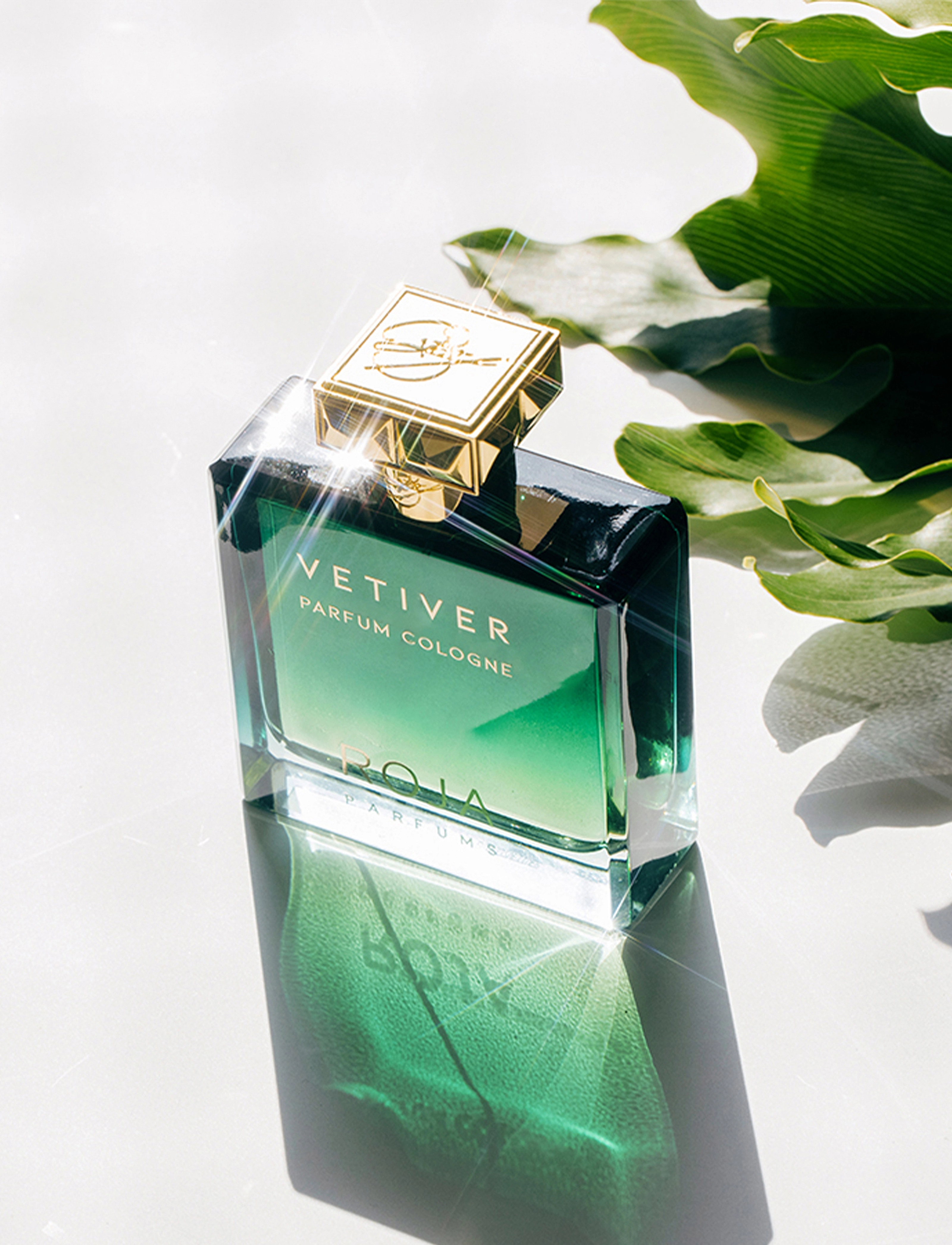 Roja Vetiver Parfum Cologne, 100 ml, Nude, Parfume > Eau De Parfum, Herre