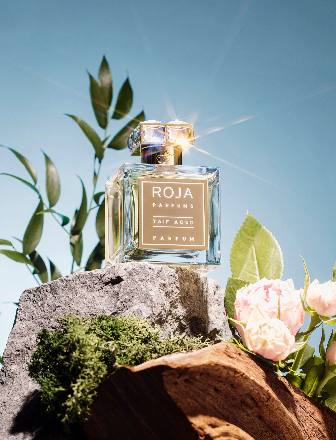 Roja - TAIF AOUD PARFUM - unisex - clear - 4