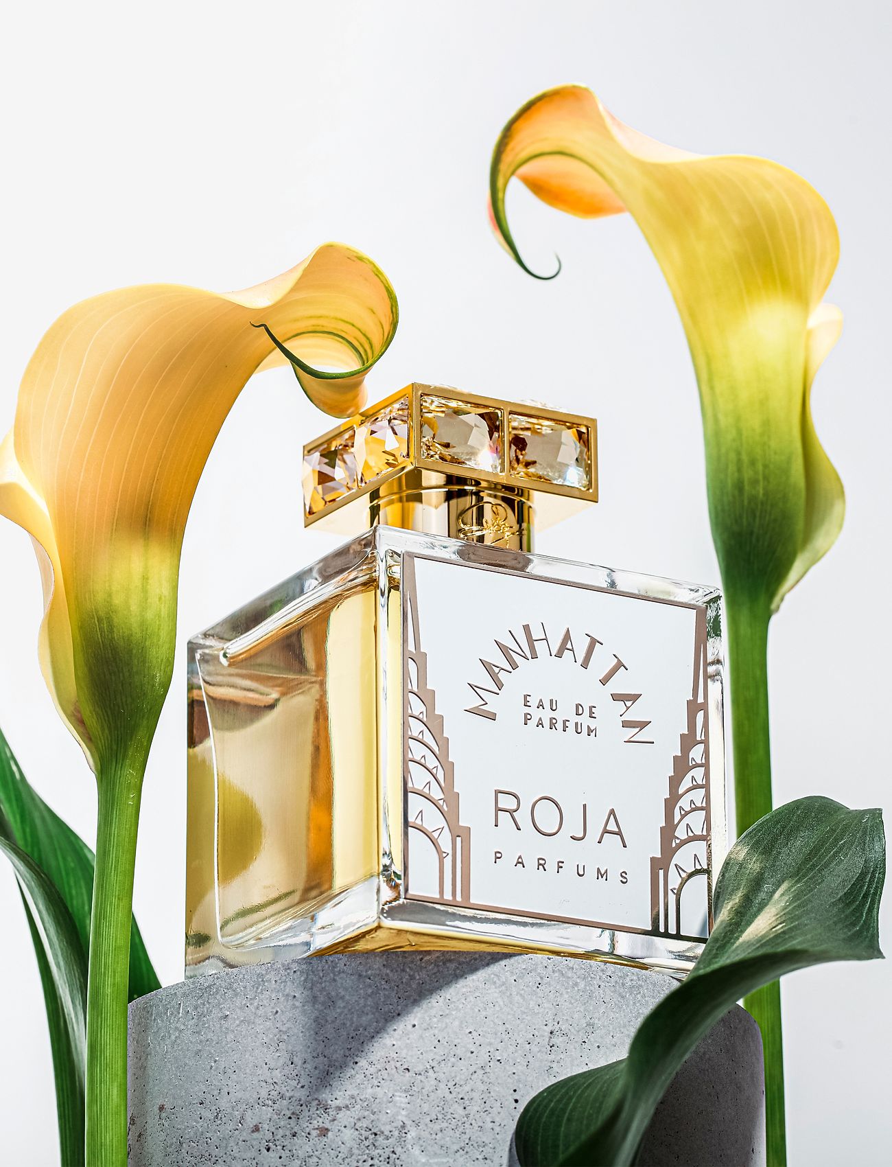 Roja - MANHATTAN EAU DE PARFUM - unisex - clear - 4