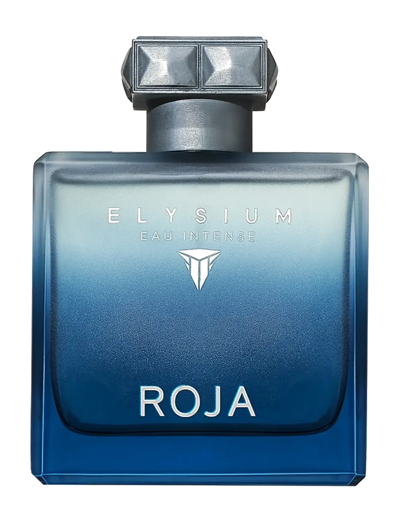 Roja Roja Elysium Eau Intense Pour Homme Edp 100 ml, 100 ml, Nude, Parfume > Eau De Parfum, Herre
