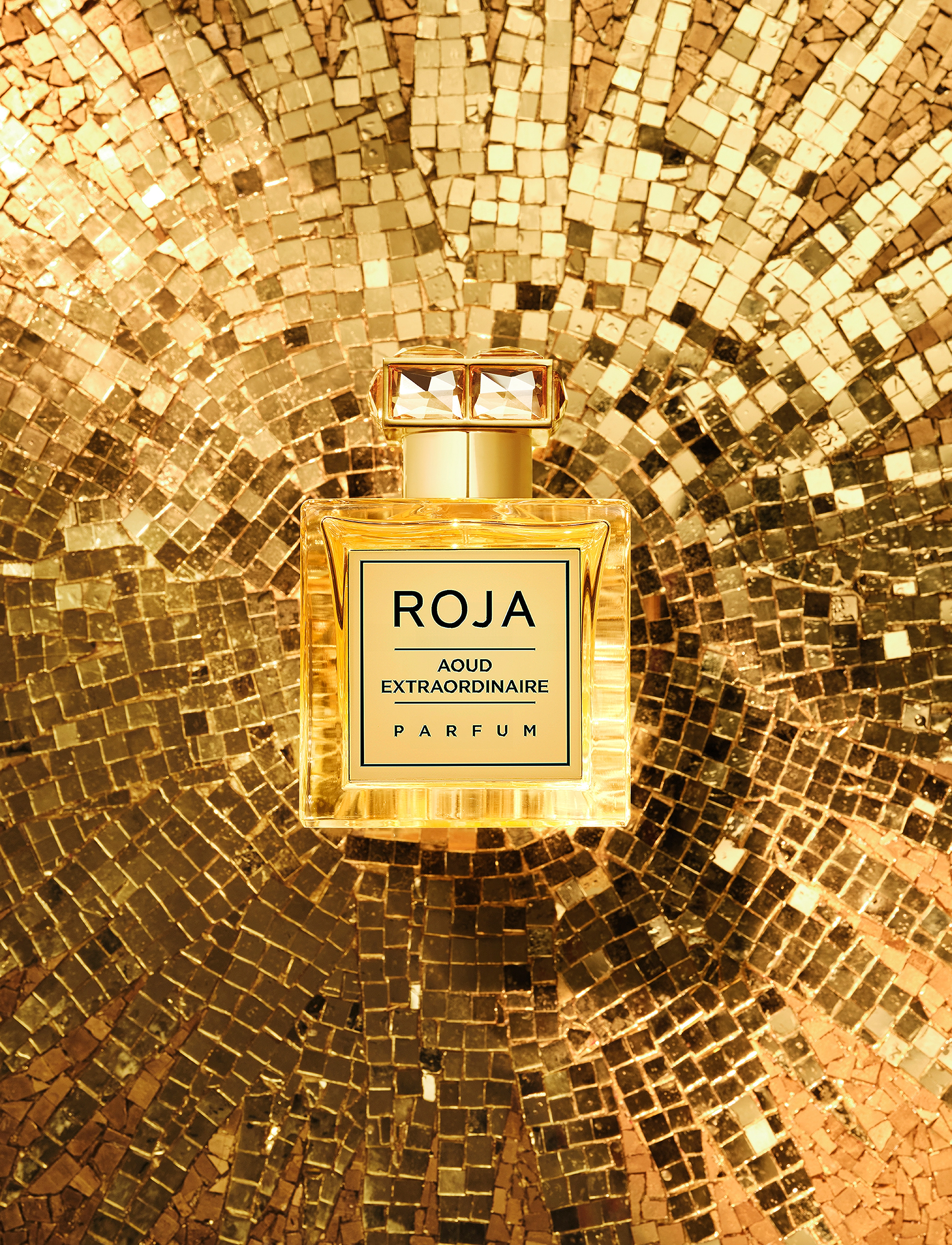 Roja - Aoud Extraordinaire Parfum 50 ml - unisex - clear - 3