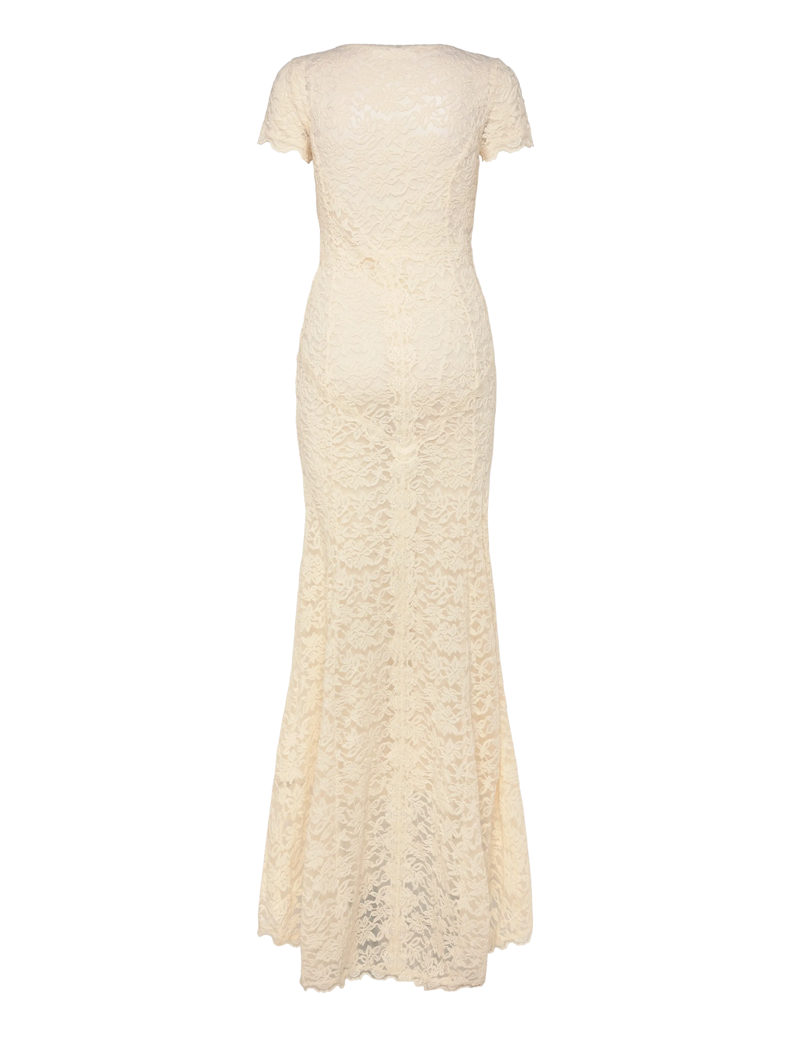 Rosemunde - RWDelicia SS Long Bridal Dress w. T - robes de dentelle - ivory - 2