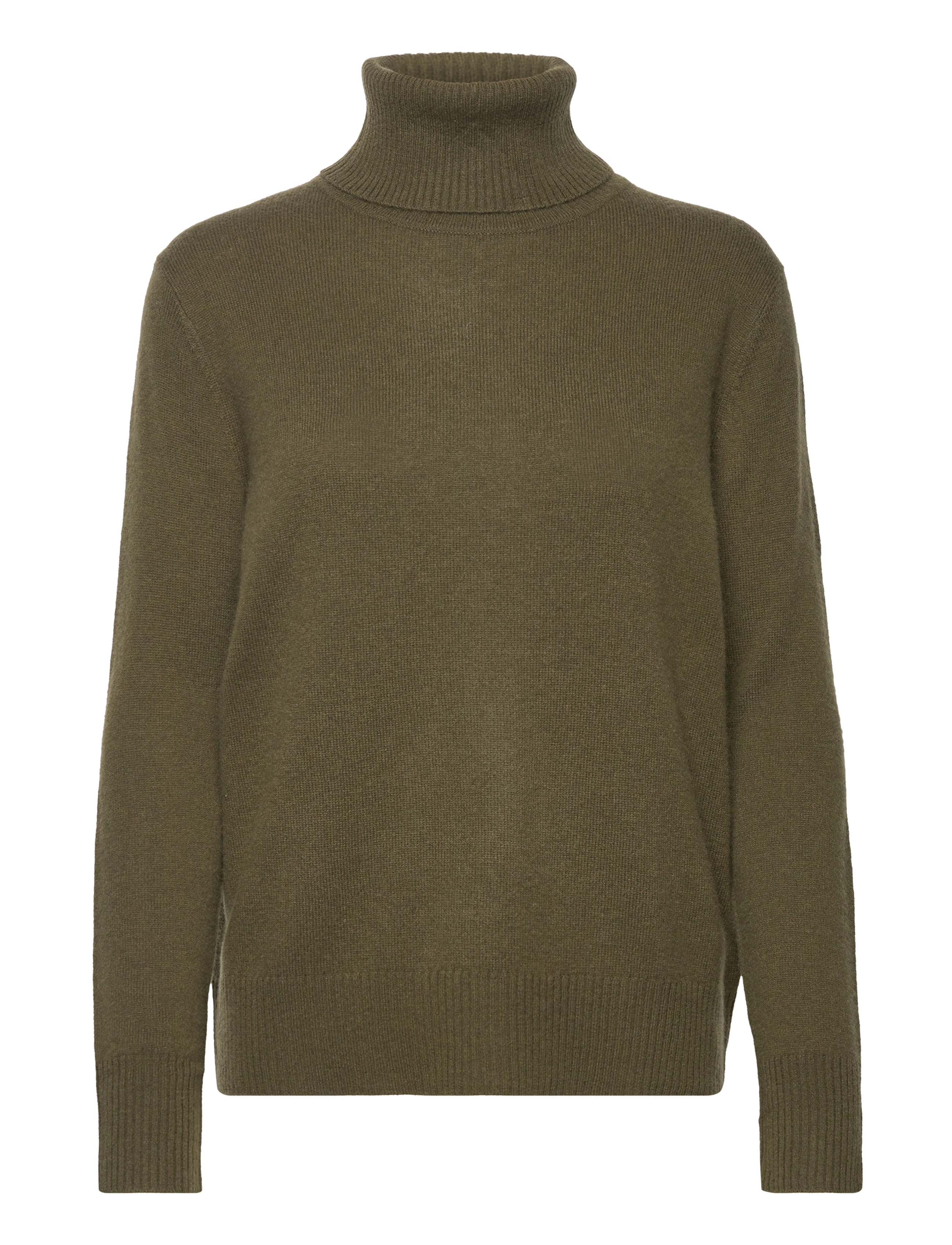 OLIVE NIGHT