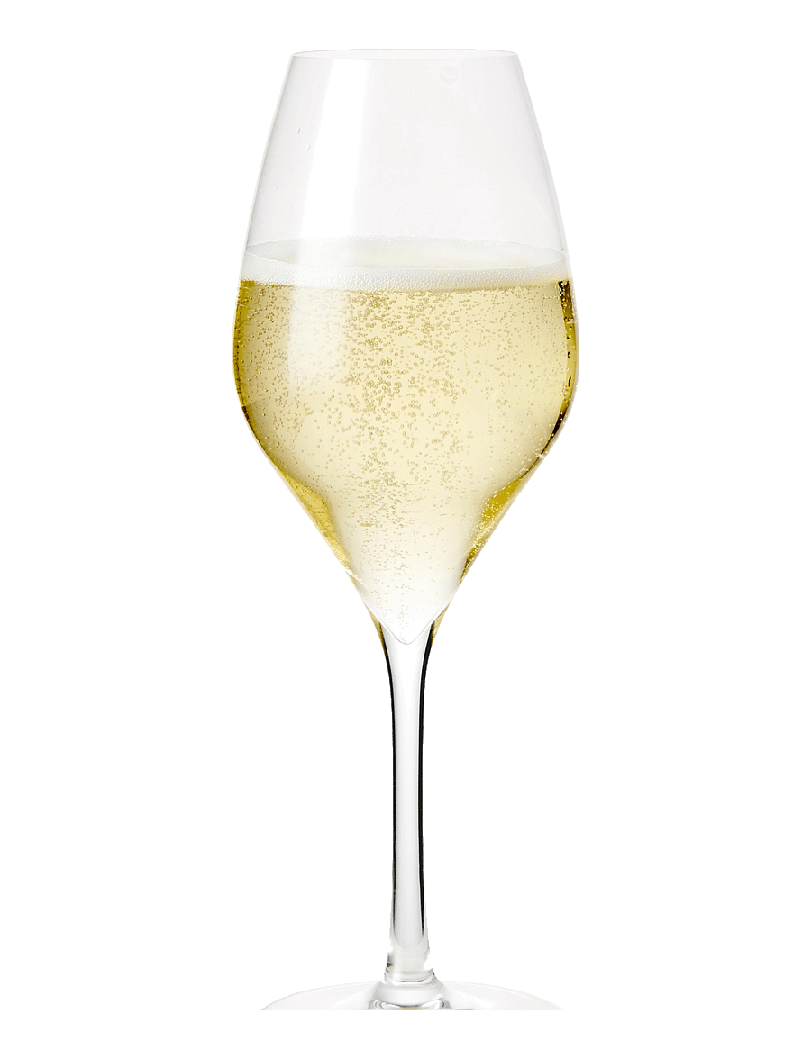 Rosendahl - Premium Champagne package 6 pcs. 37 cl Clear - Šampanjaklaasid - clear - 2
