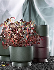 Rosendahl - RO Flowerpot Ø15 cm - alhaisimmat hinnat - burgundy - 3