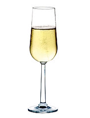 Rosendahl - Grand Cru Champagne Glass 24 cl 2 pcs. - mažiausios kainos - clear - 1