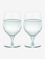 Premium Ölglas 60 cl klar 2 st. - CLEAR