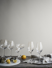 Rosendahl - Premium Champagne Glass 37 cl clear 2 pcs. - alhaisimmat hinnat - clear - 4