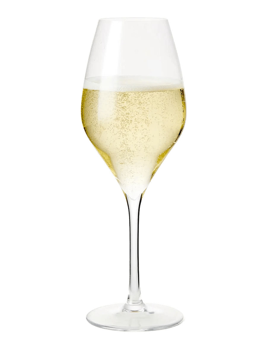 Rosendahl - Premium Champagne Glass 37 cl clear 2 pcs. - madalaimad hinnad - clear - 2