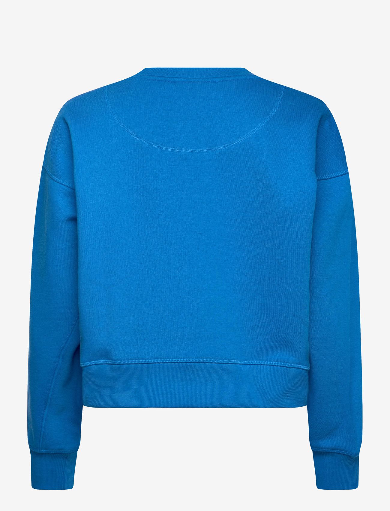 ROUGE EDIT - ROUFRIDA L/S O-NECK SWEAT/PF/1 - vardagsstil - directoire blue - 1
