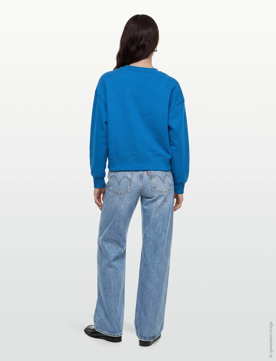 ROUGE EDIT - ROUFRIDA L/S O-NECK SWEAT/1 - hverdags stil - directoire blue - 4