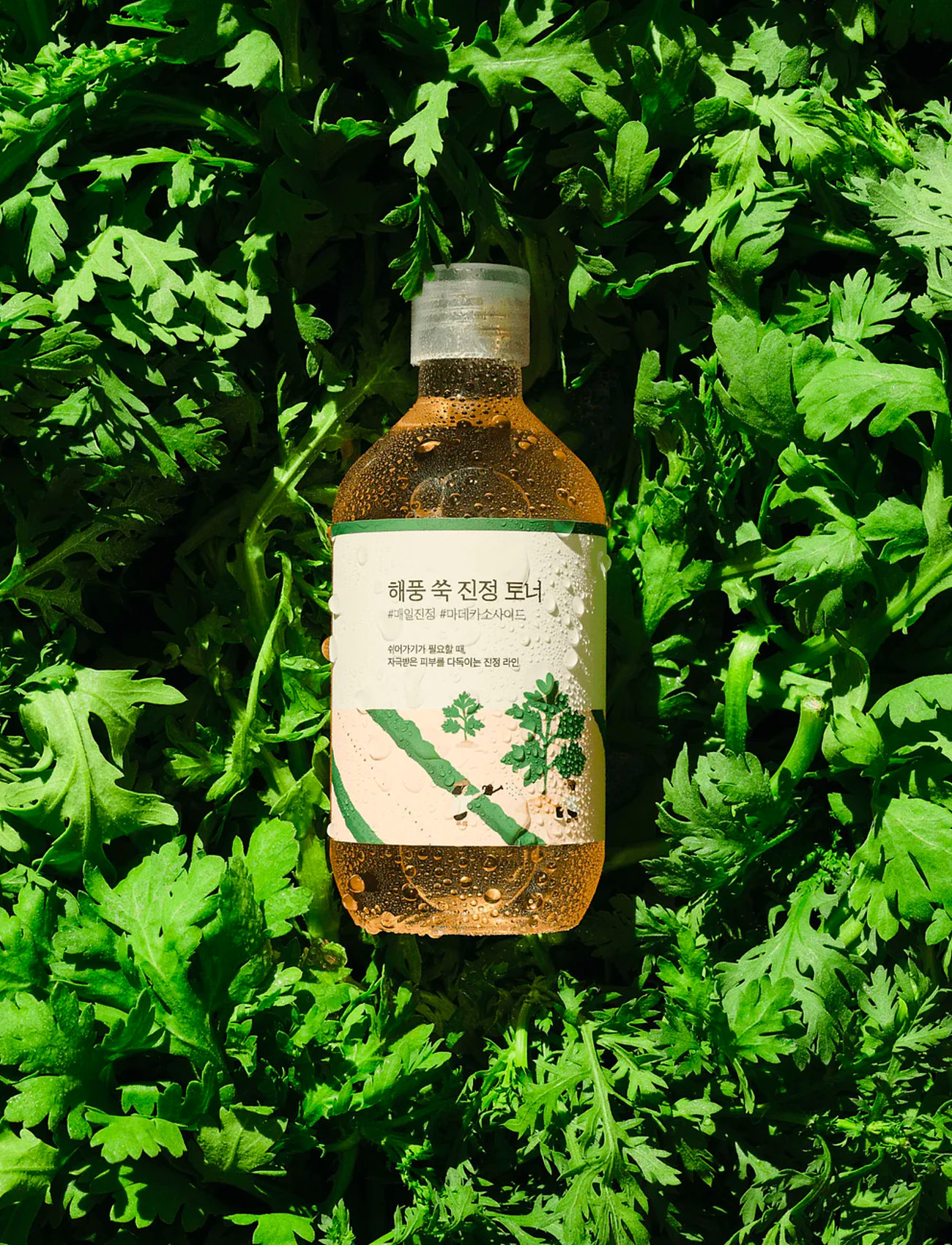Round Lab - Mugwort Calming Toner - skintonic & toner - clear - 1
