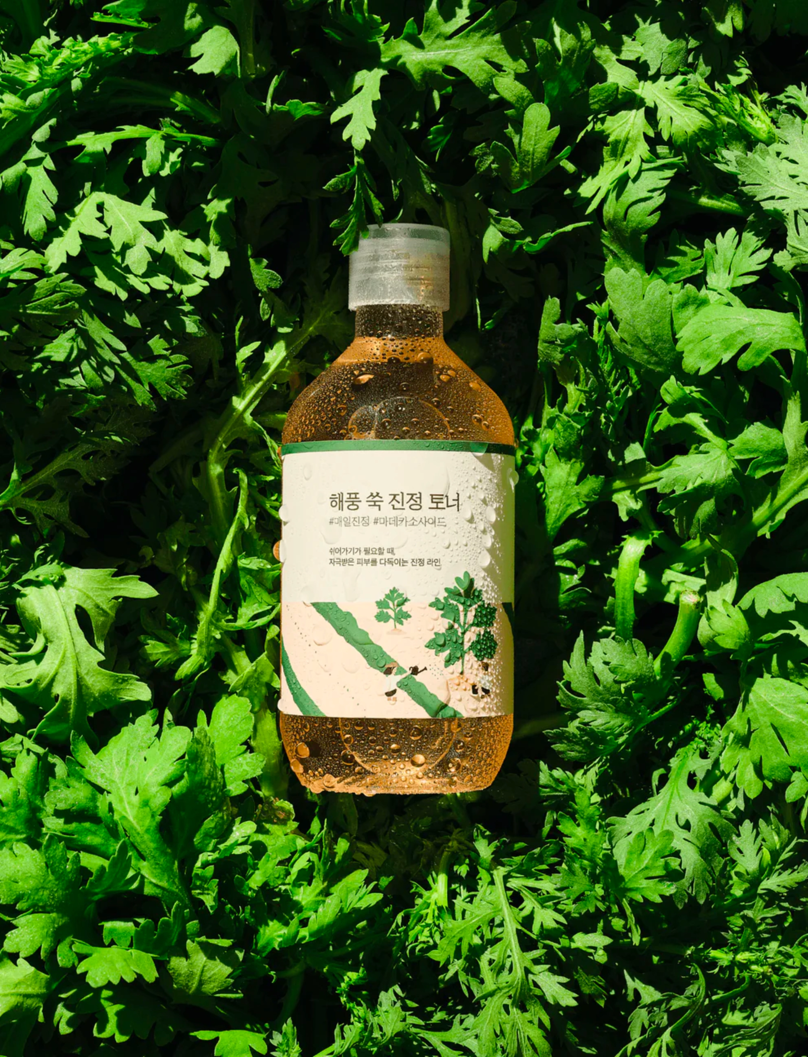 Round Lab - Mugwort Calming Toner - fuktighetsgivende toner - clear - 1