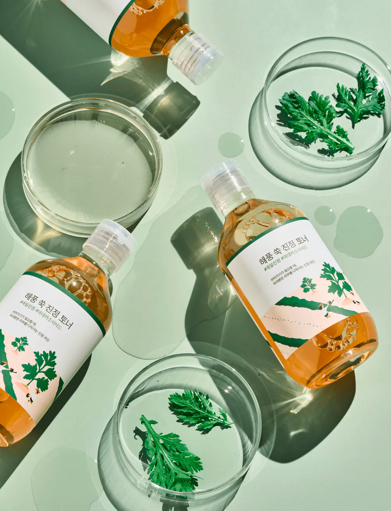 Round Lab - Mugwort Calming Toner - skintonic & toner - clear - 2