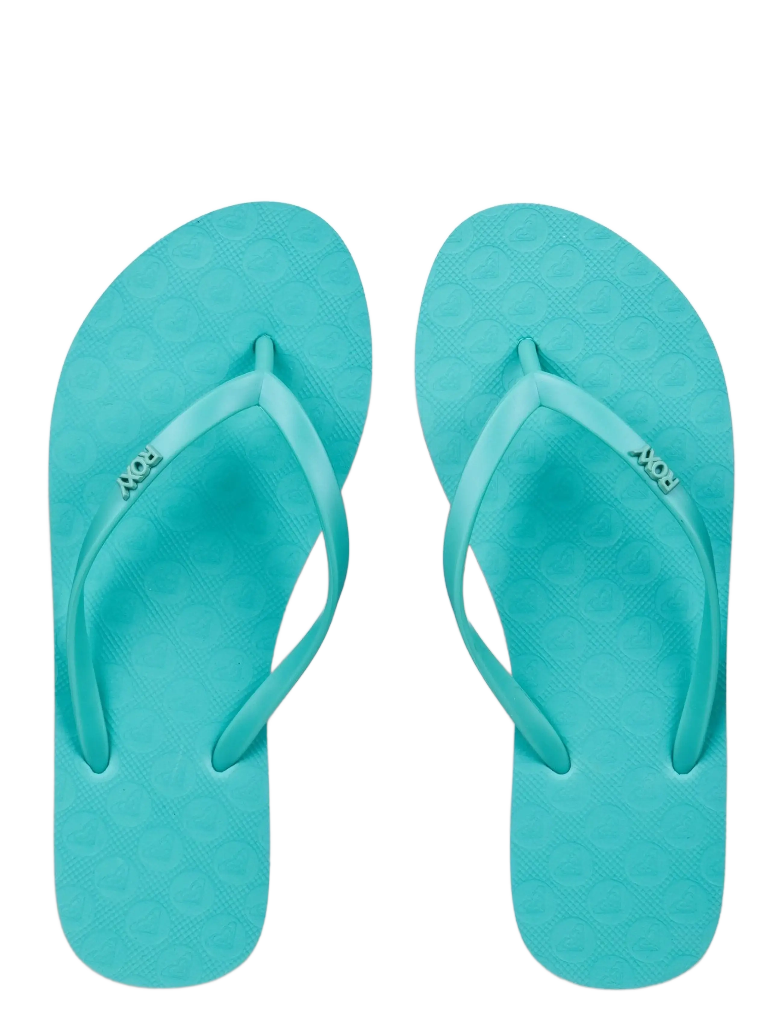 Roxy - VIVA IV - kingad - katydid - 3