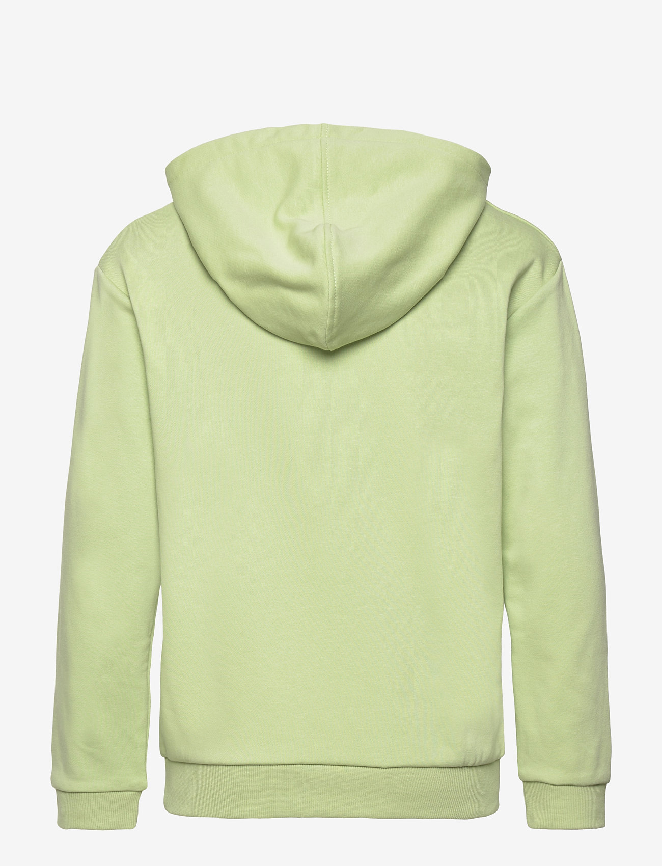 Roxy - SURF FEELING HOODIE TERRY - sügisesed riided - foam green - 1