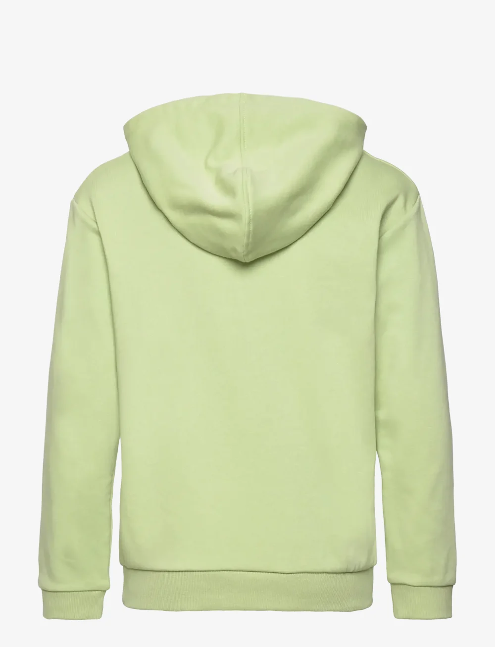 Roxy - SURF FEELING HOODIE TERRY - kapuutsiga dressipluusid - foam green - 1
