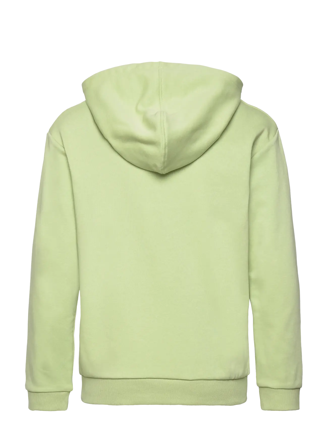 Roxy - SURF FEELING HOODIE TERRY - foam green - 1